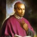 Vida de San Alfonso María de Ligorio